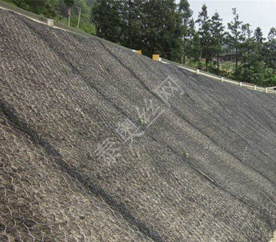 廣東三維植被網墊